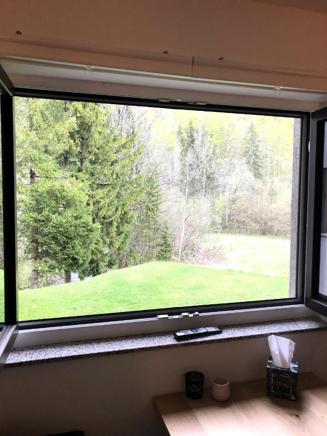 Apartment Loyd, Kranjska Gora - Studio Esterno foto